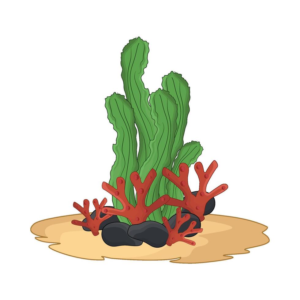 illustration of seaweed vector