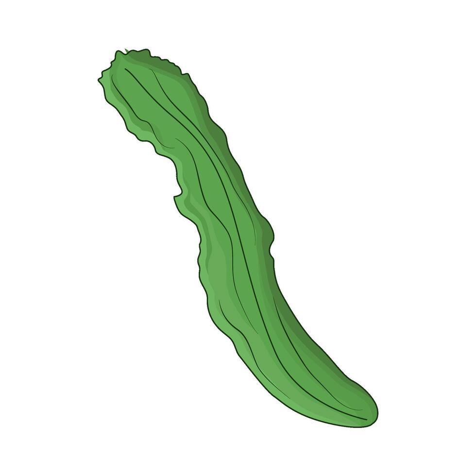 illustration of seaweed vector