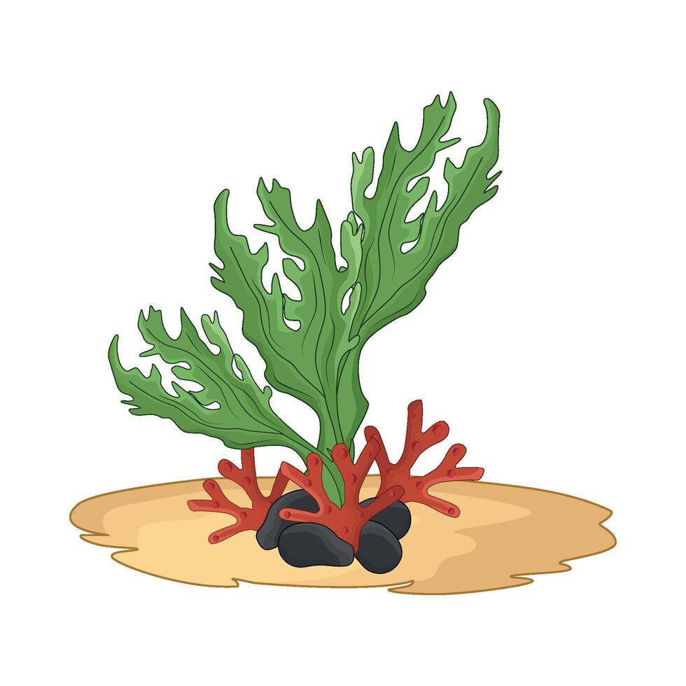 illustration of seaweed vector