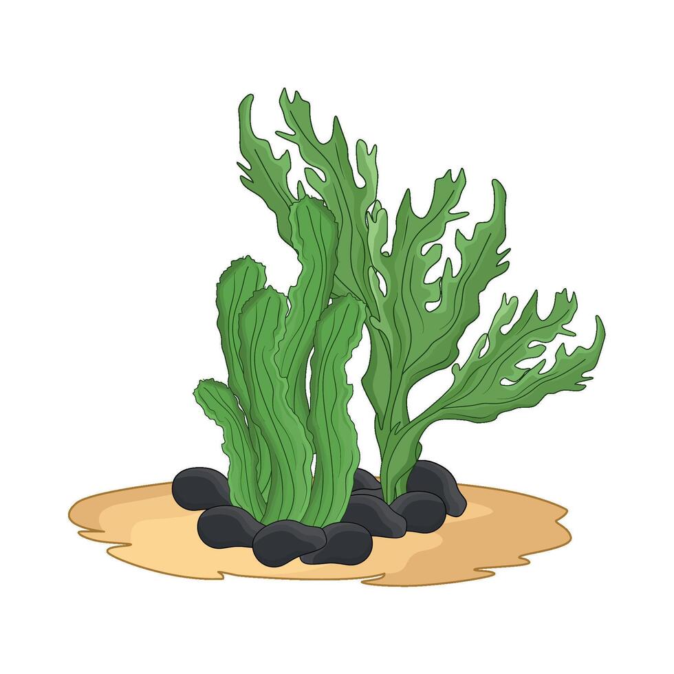 illustration of seaweed vector