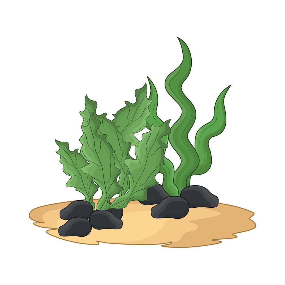 illustration of seaweed vector