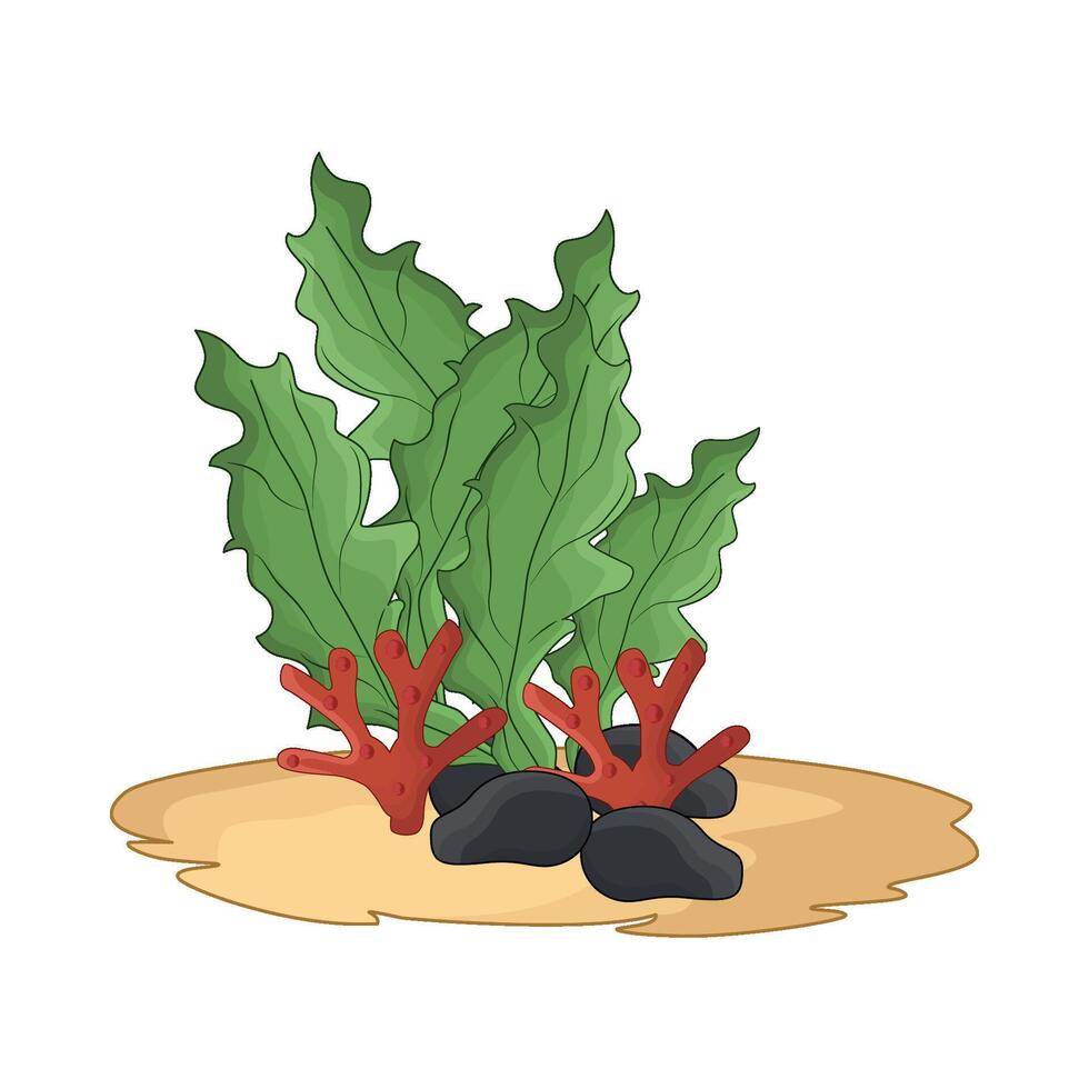 illustration of seaweed vector
