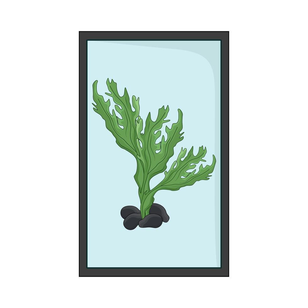 illustration of seaweed vector