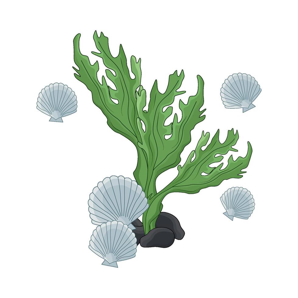 illustration of seaweed vector