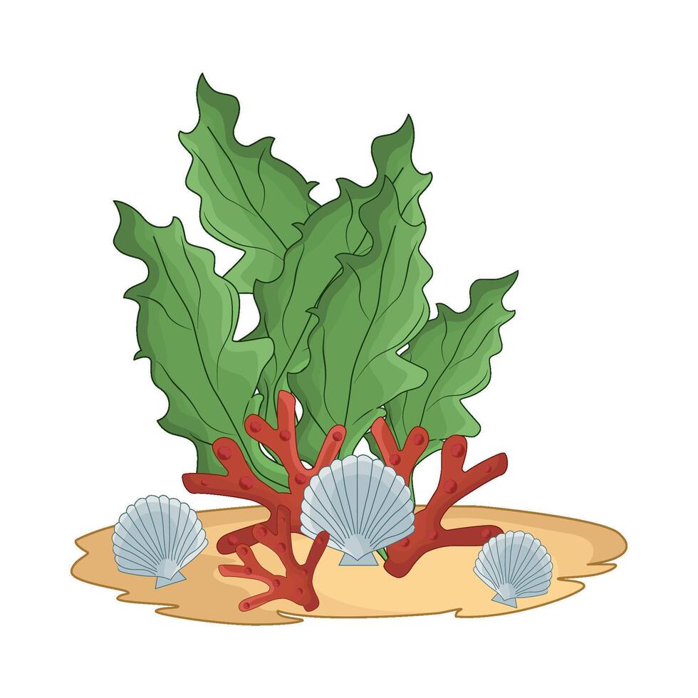 illustration of seaweed vector