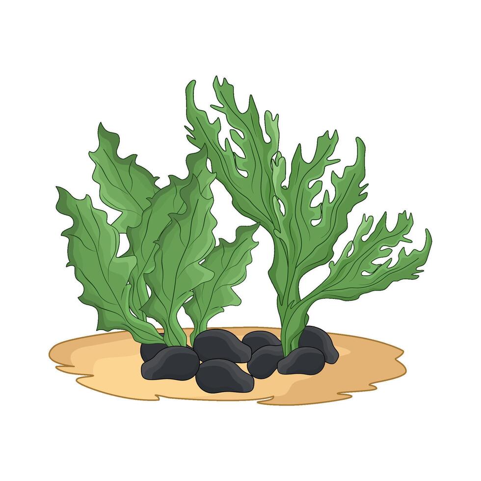illustration of seaweed vector