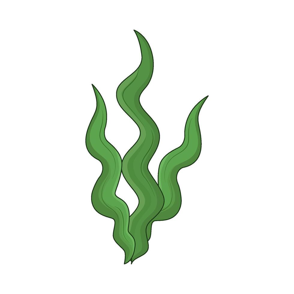 illustration of seaweed vector