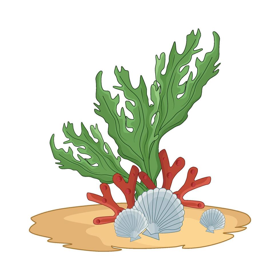 illustration of seaweed vector