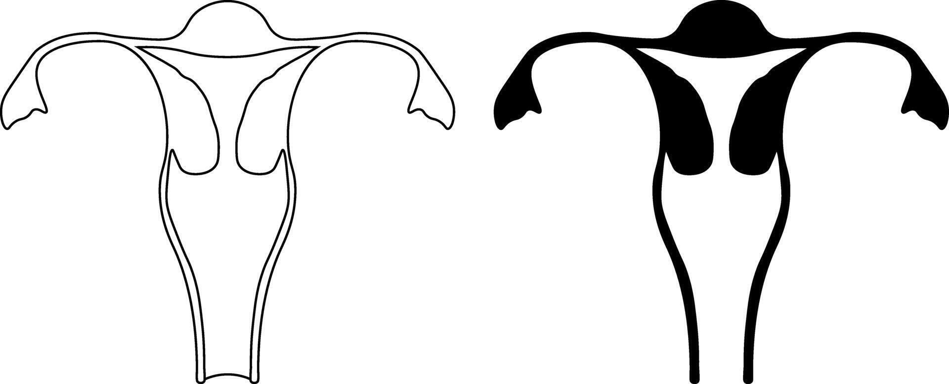 outline silhouette human uterus icon set vector