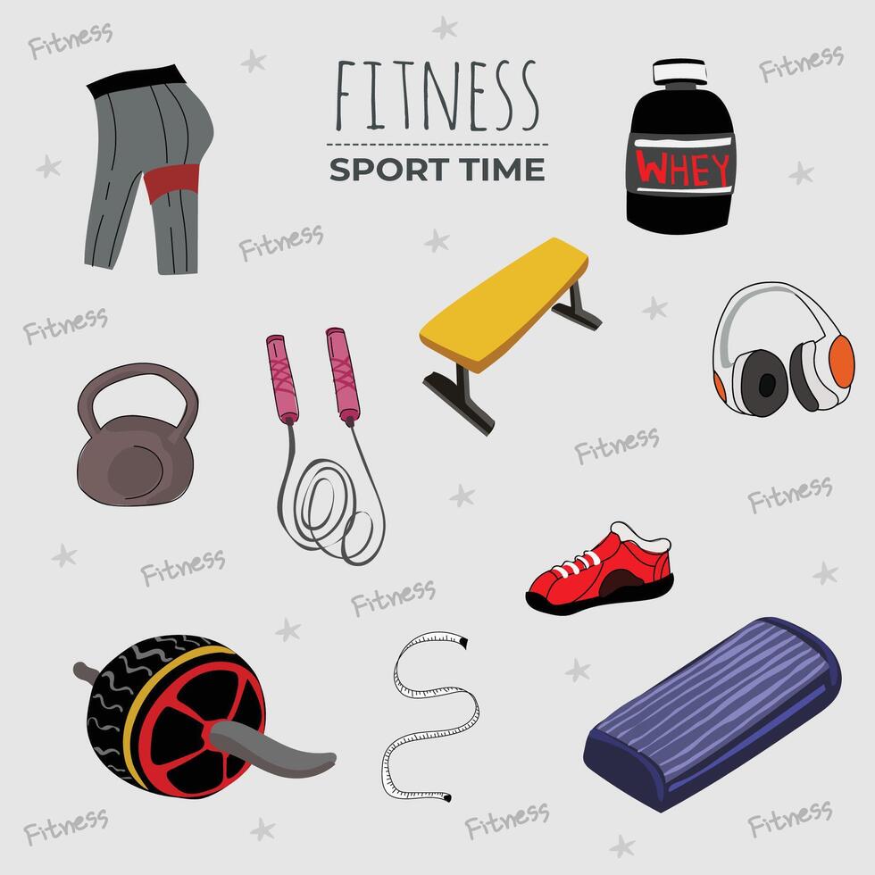 Colorful Fitness Equipment. vector