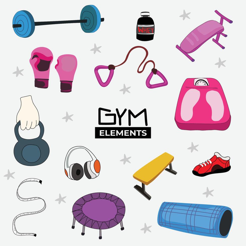 Colorful Fitness Equipment. vector