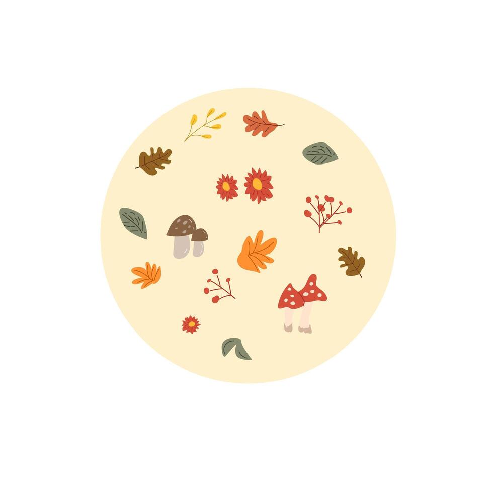 Autumn fall thanksgiving day banner or greeting card with leaves vector
