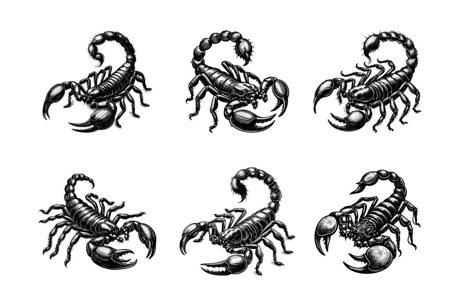 set of scorpions illustration. hand drawn scorpion in black and white illustration, isolated white background vector