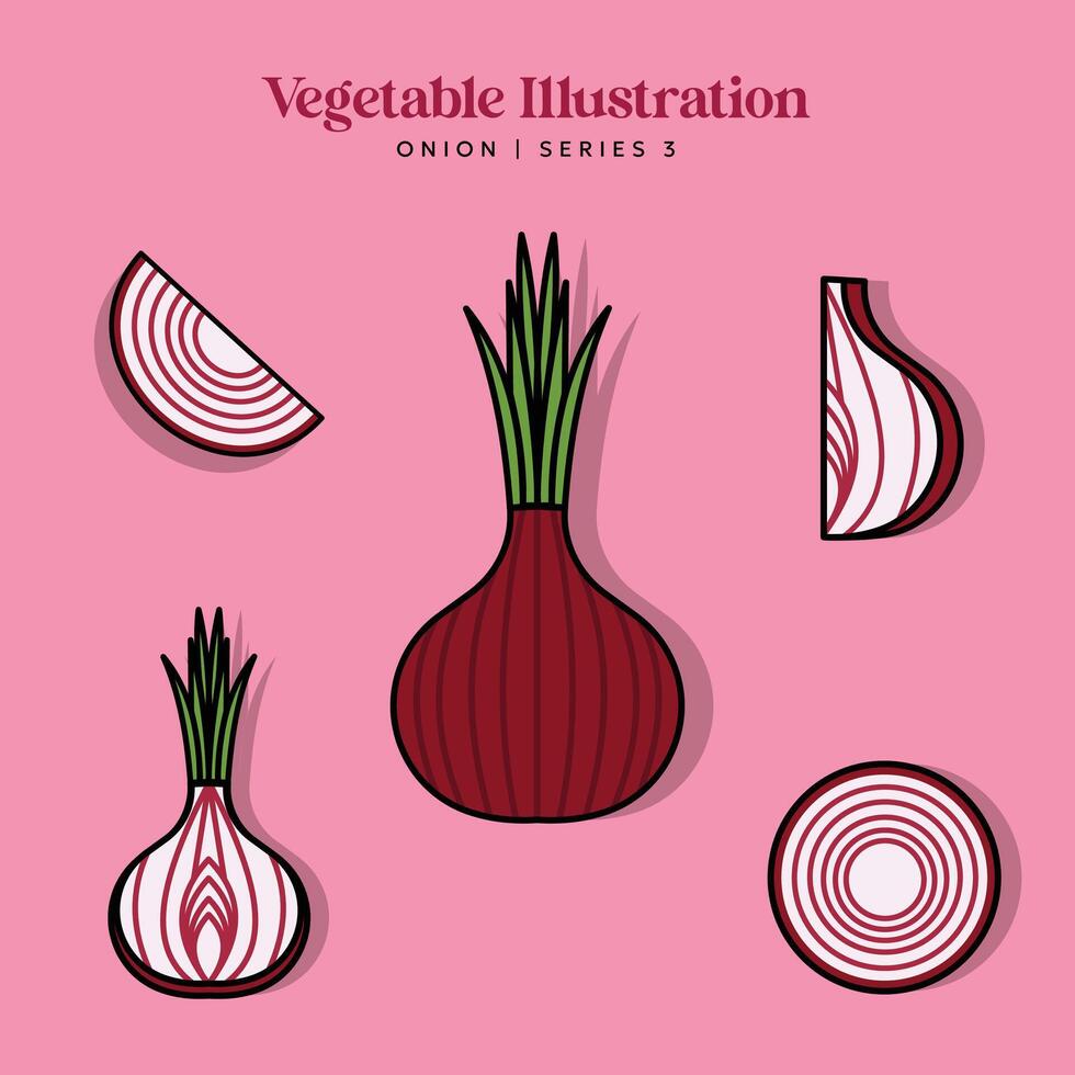 Onion Vegetable Illustration Set for Logo and Healthy Symbol Collection Flat Design - Editable Label Illustration vector