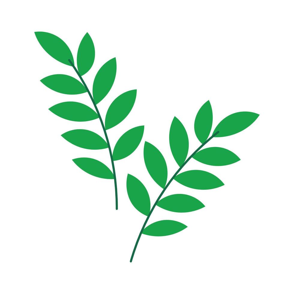 Leaves tree branch icon isolated vector