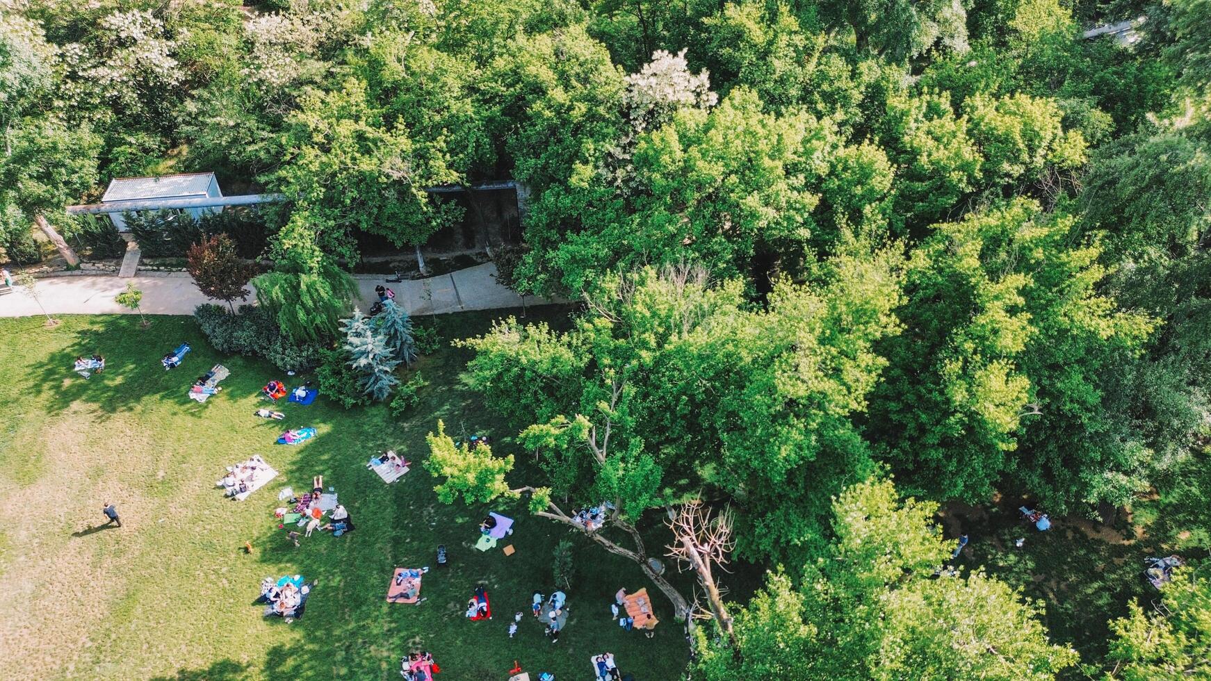 Mziuri park view with drone in Tbilisi, Georgia photo