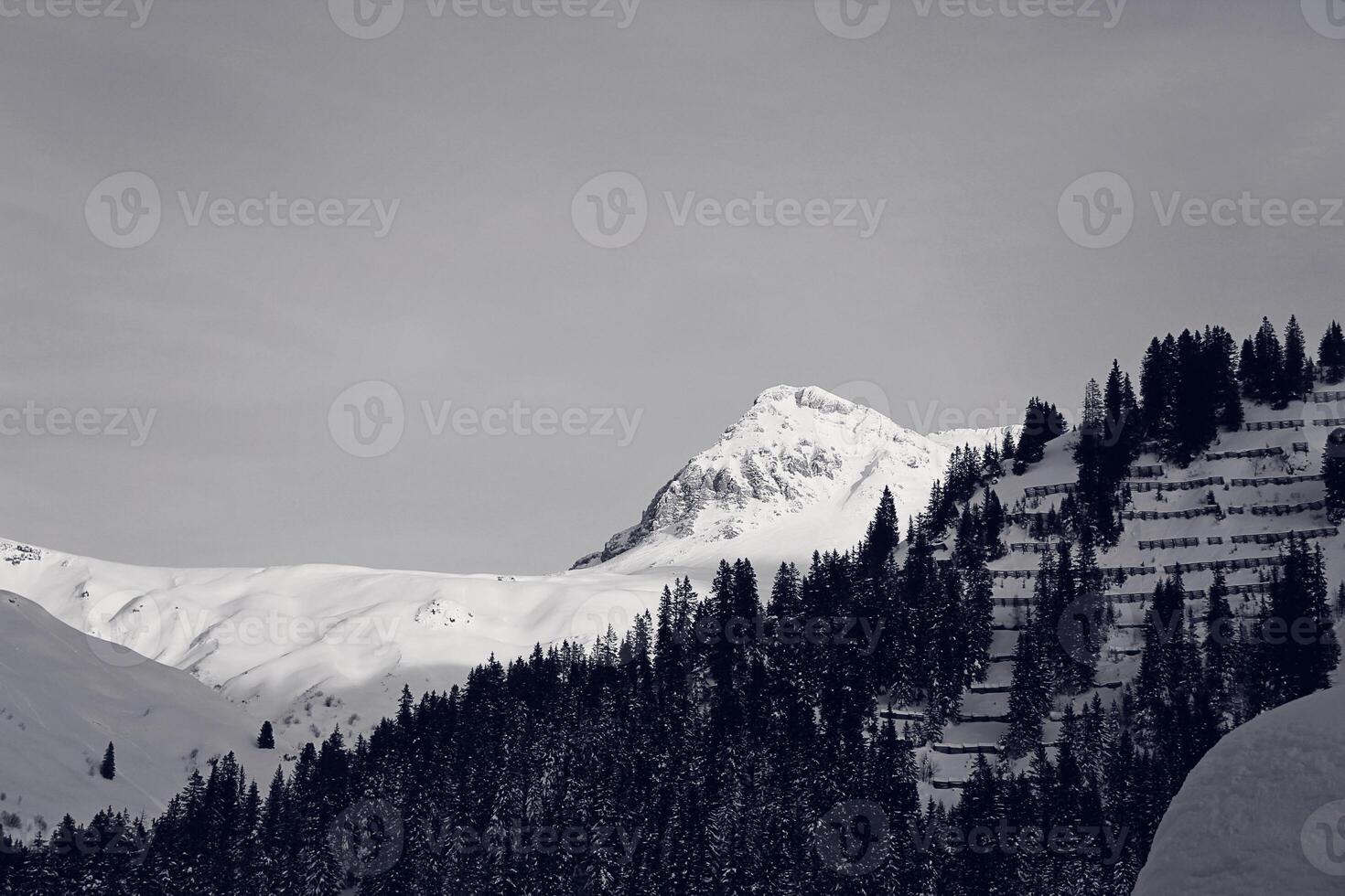 Black and White Winter Snowy Mountain Peak at the Alps with Pine Forest photo