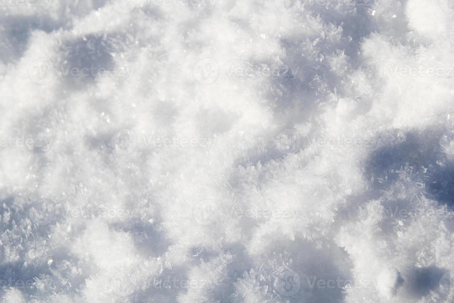 Snow Crystals and Snowflakes Background in White photo