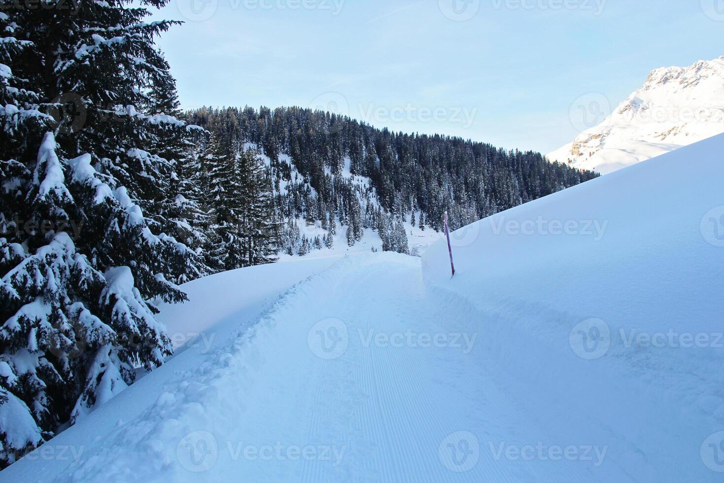 Winter Snowy Road at the Pine Forest or Spruce Woods at the Mountains with Snow photo