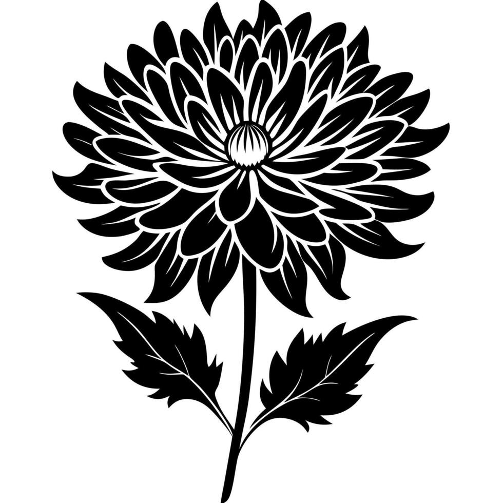 chrysanthemum flower black silhouette illustration vector