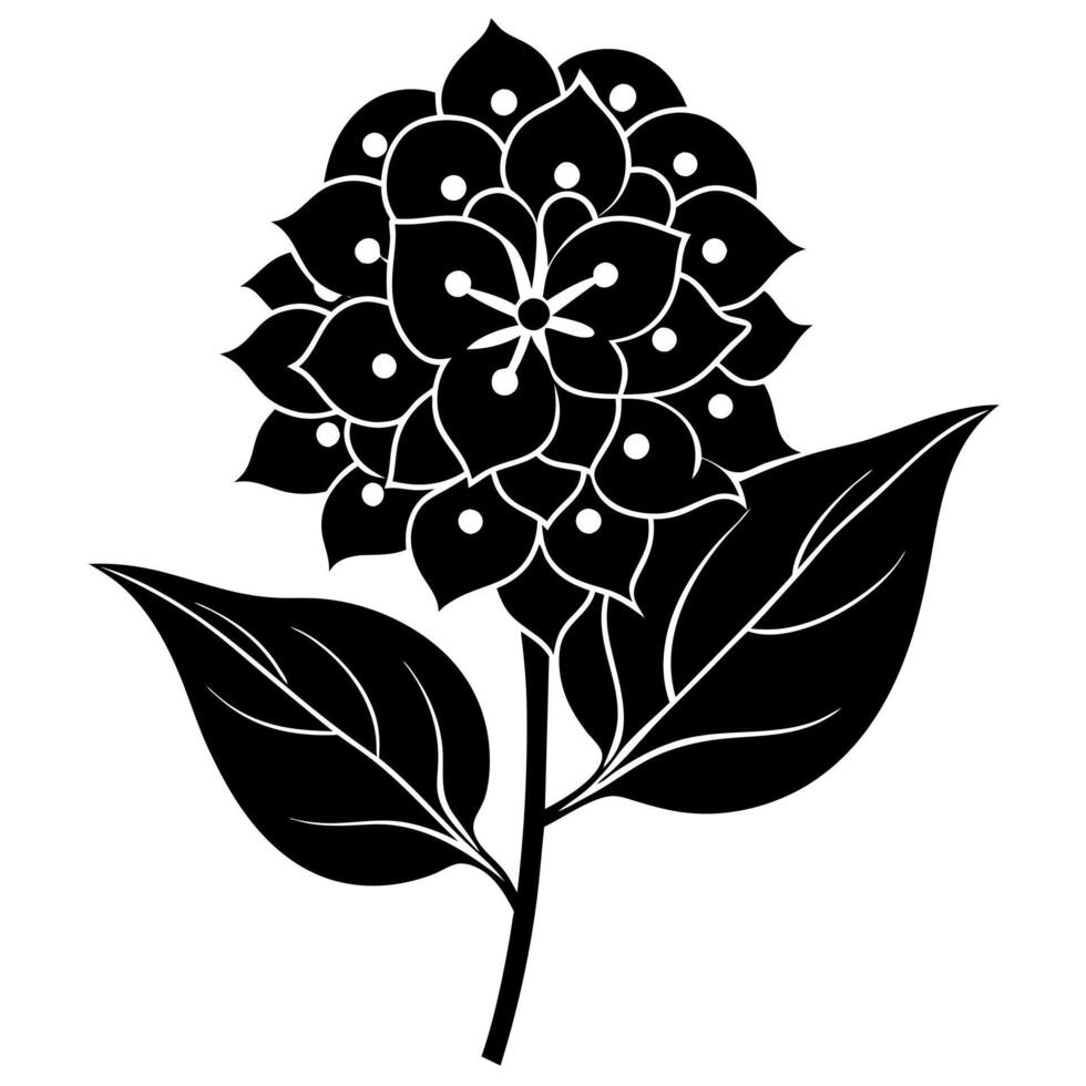 lilac flower black silhouette illustration vector