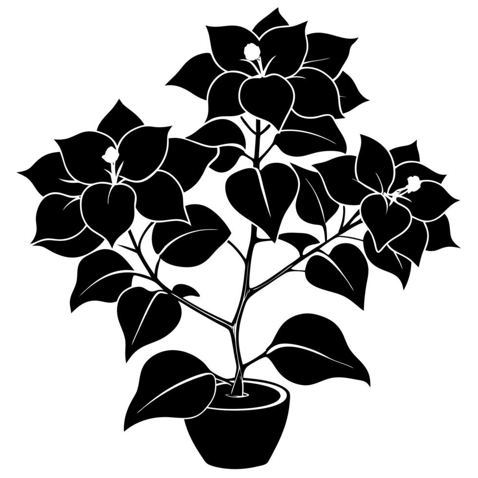 bougainvillea flower black silhouette illustration vector