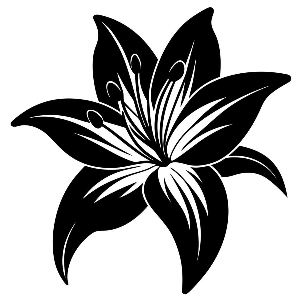 lily flower black silhouette illustration vector