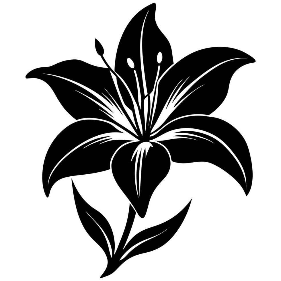 lily flower black silhouette illustration vector