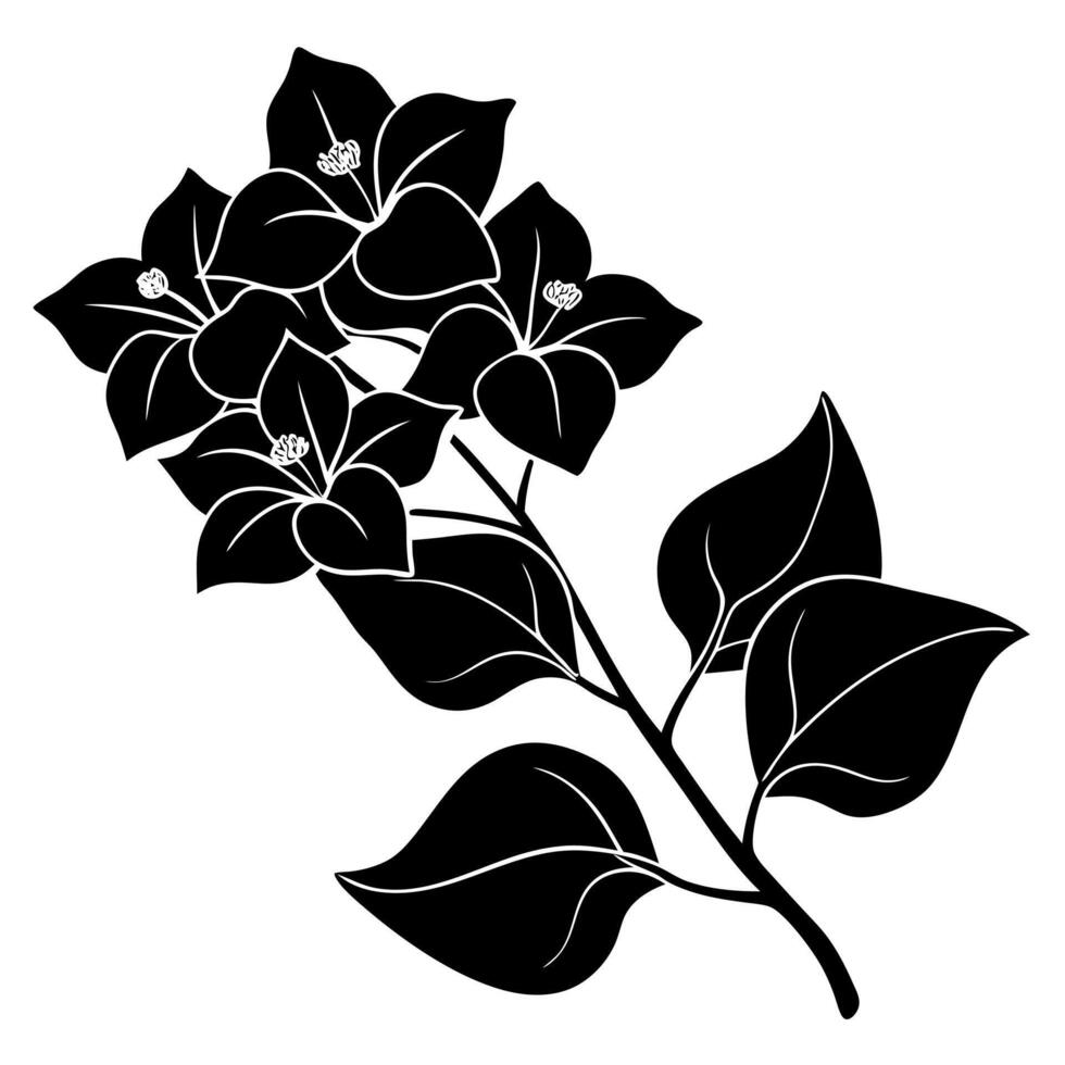 bougainvillea flower black silhouette illustration vector