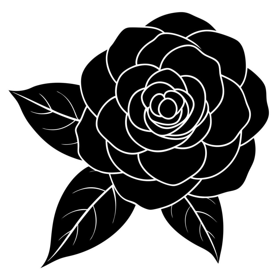 camellia flower black silhouette illustration vector