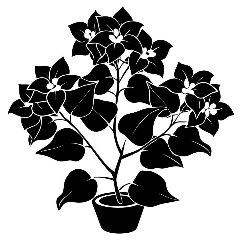 bougainvillea flower black silhouette illustration vector