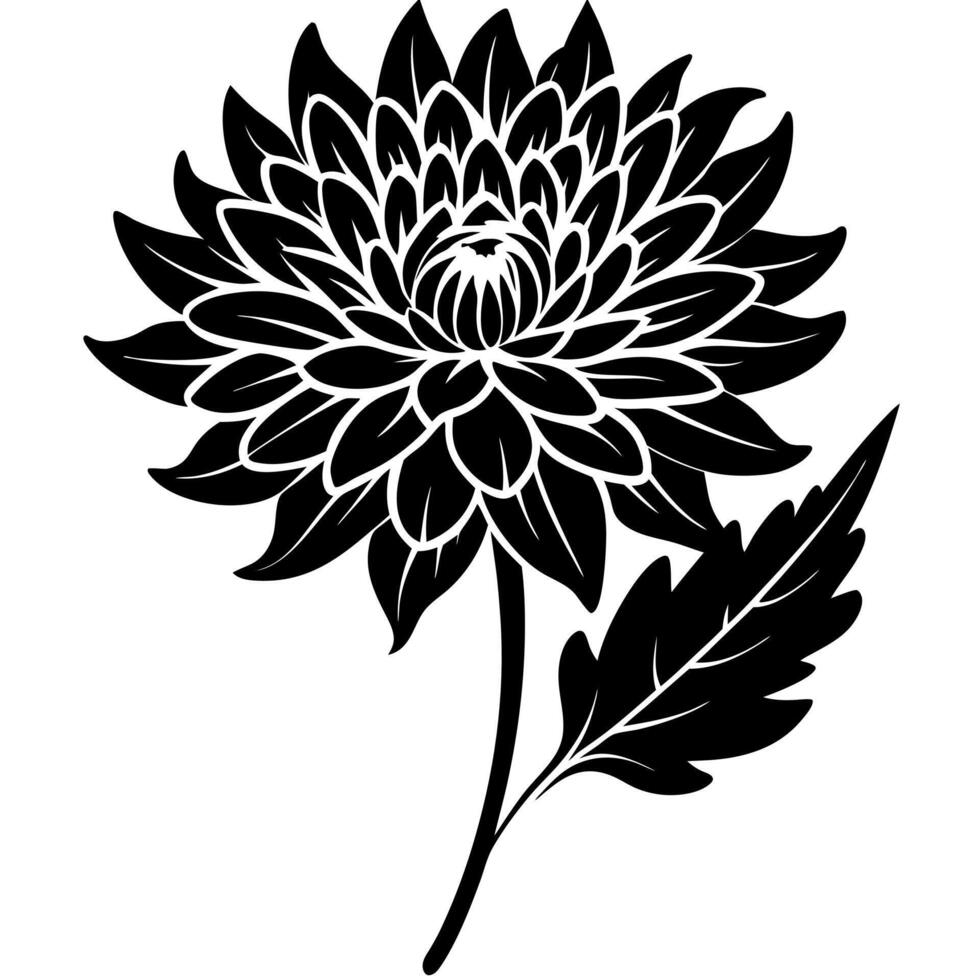 chrysanthemum flower black silhouette illustration vector