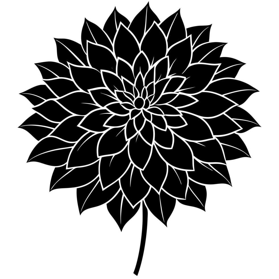 dahlia flower black silhouette illustration vector