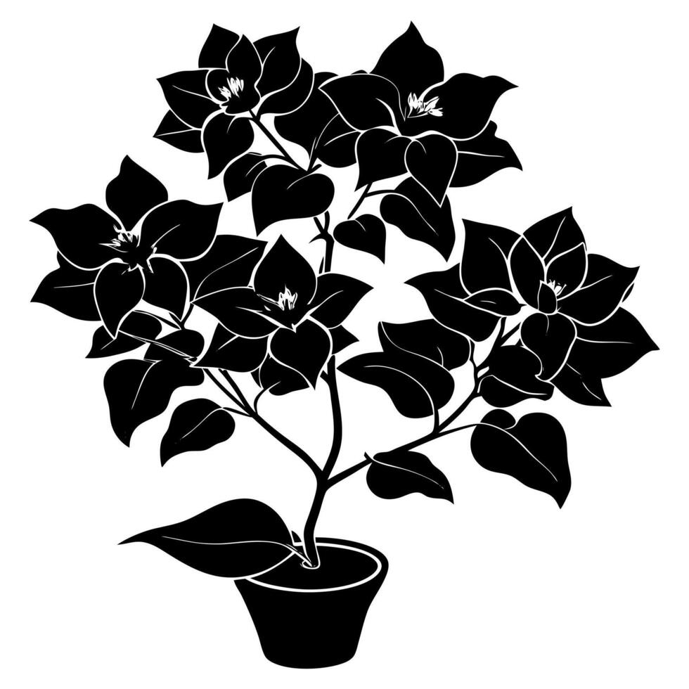 bougainvillea flower black silhouette illustration vector