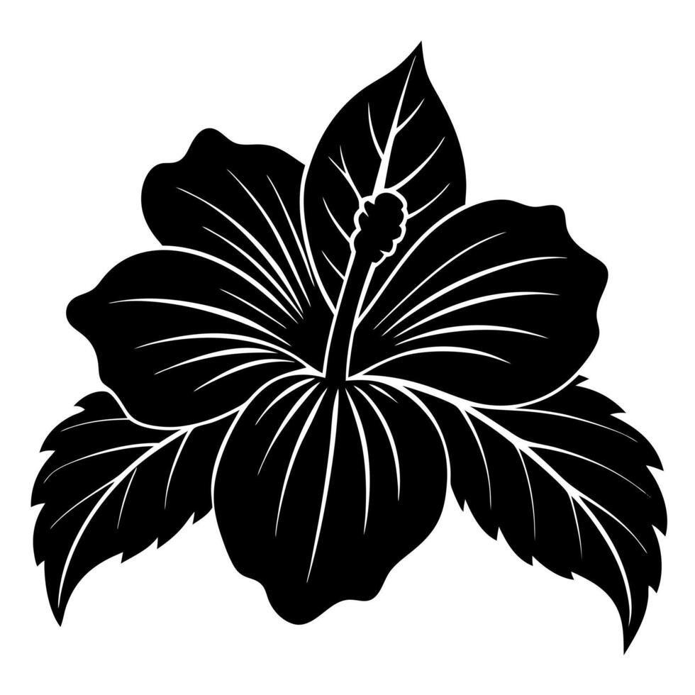 hibiscus flower black silhouette illustration vector