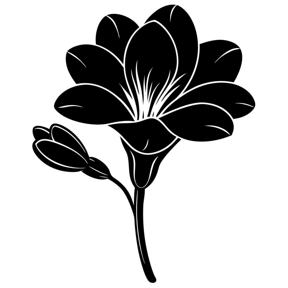 freesia flower black silhouette illustration vector