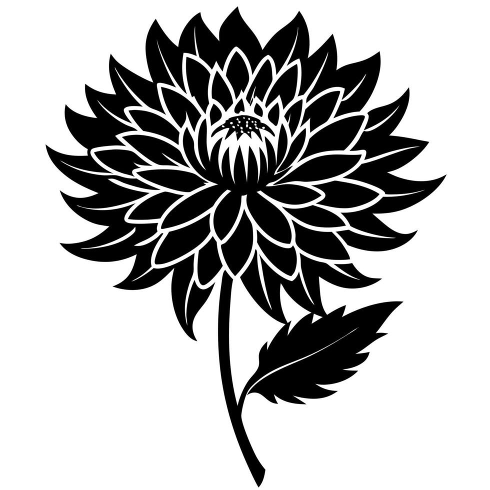 chrysanthemum flower black silhouette illustration vector