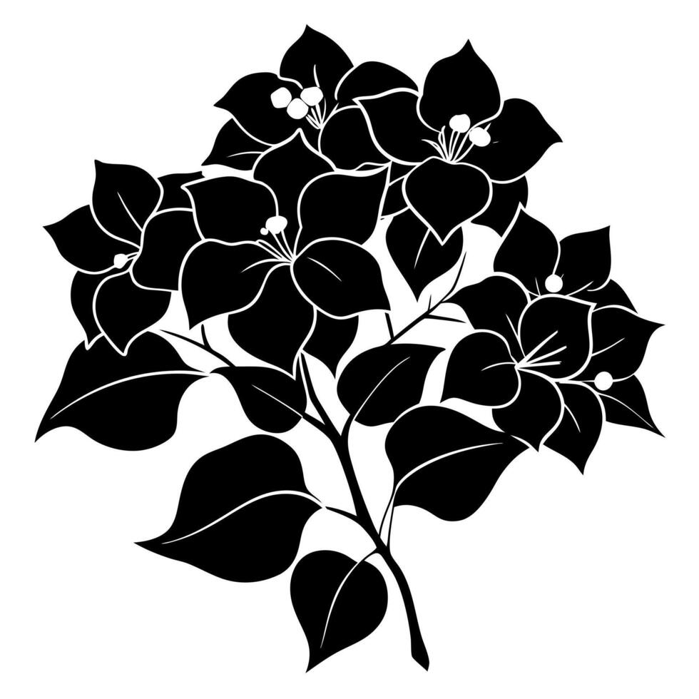 bougainvillea flower black silhouette illustration vector