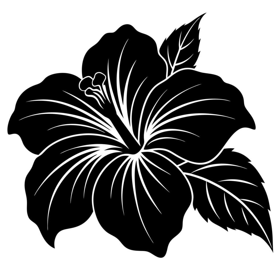 hibiscus flower black silhouette illustration vector