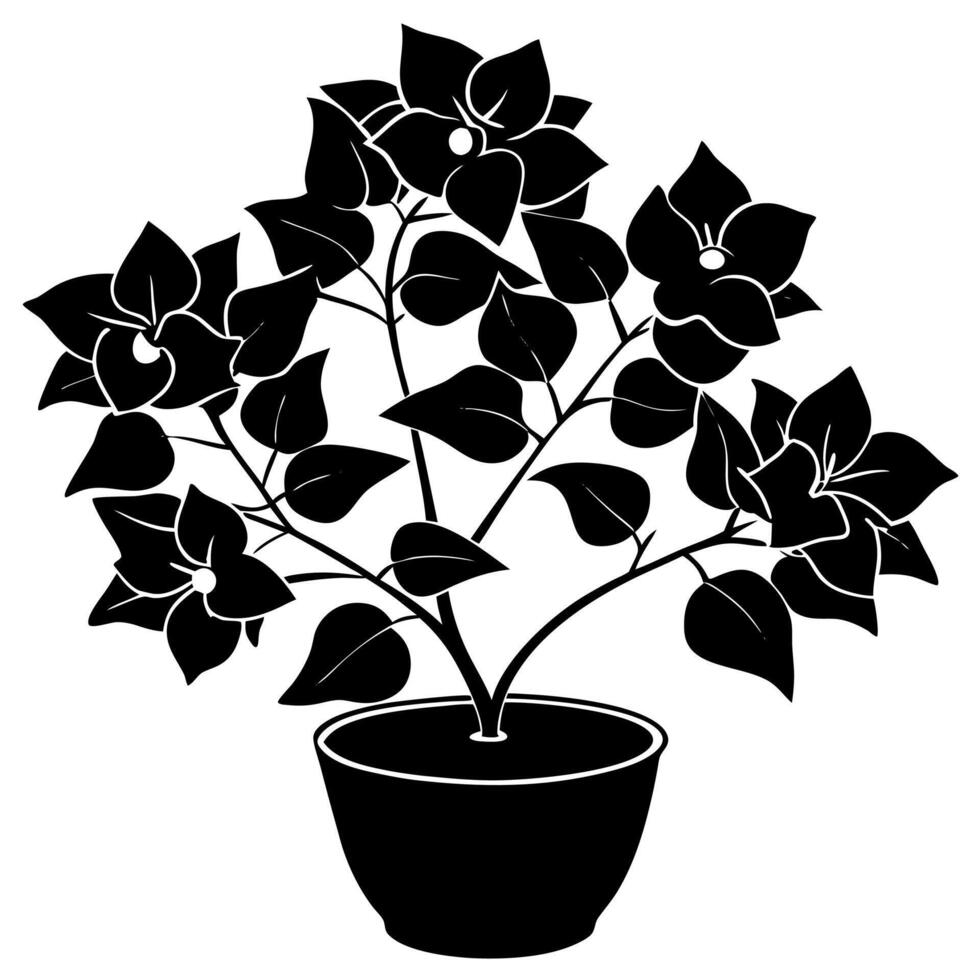 bougainvillea flower black silhouette illustration vector