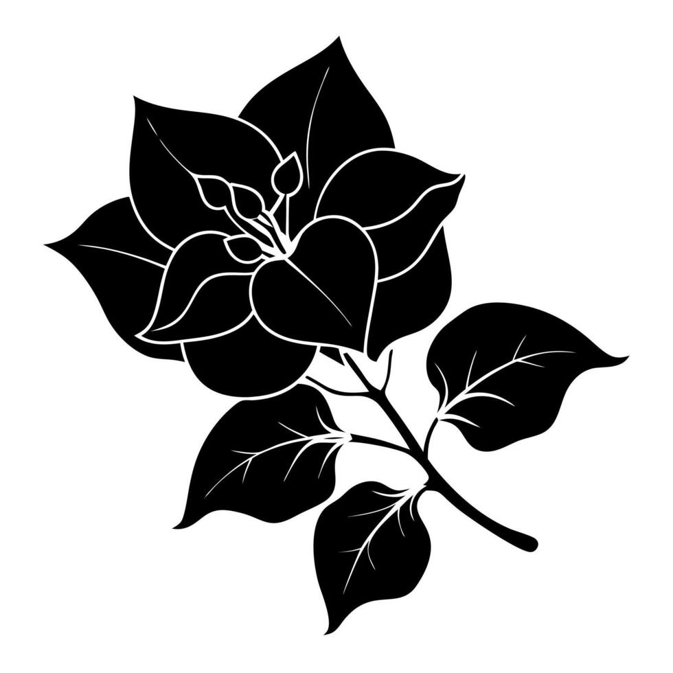 bougainvillea flower black silhouette illustration vector