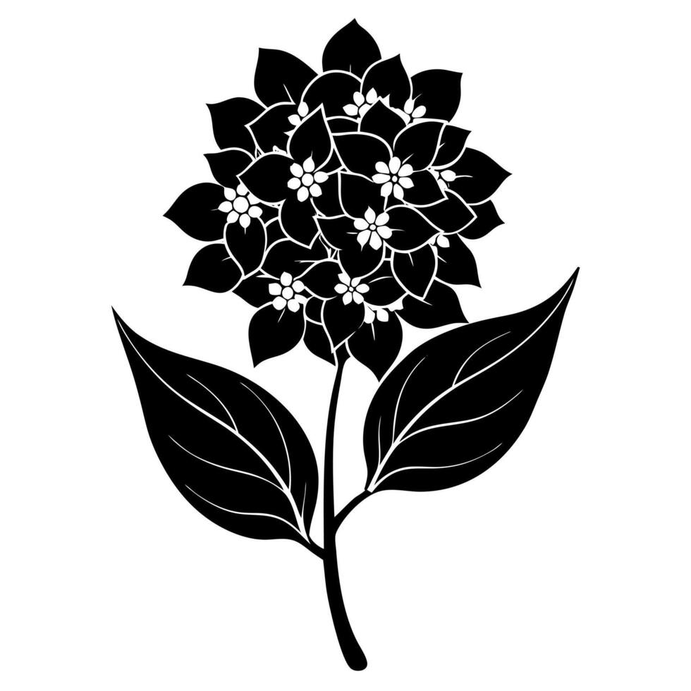 lilac flower black silhouette illustration vector