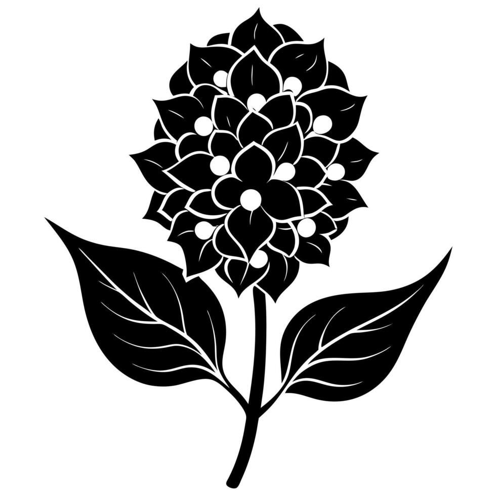 lilac flower black silhouette illustration vector