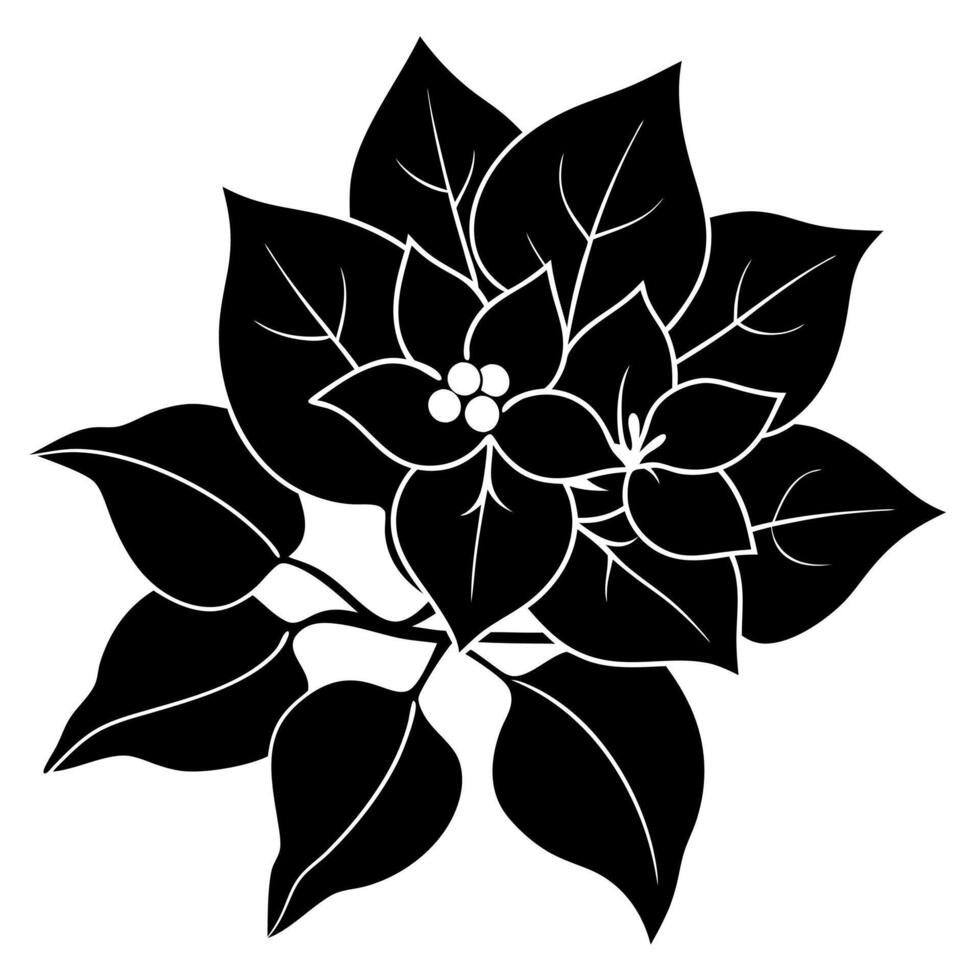bougainvillea flower black silhouette illustration vector