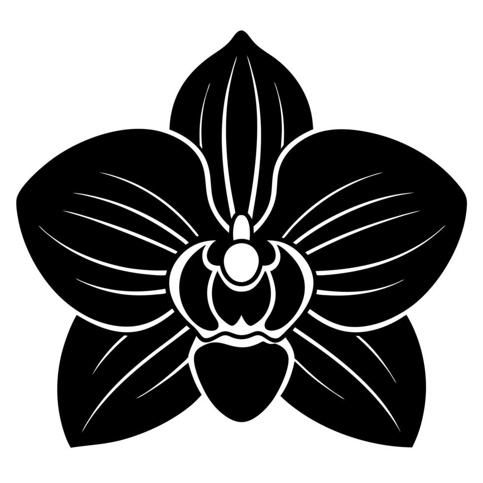 orchid flower black silhouette illustration vector