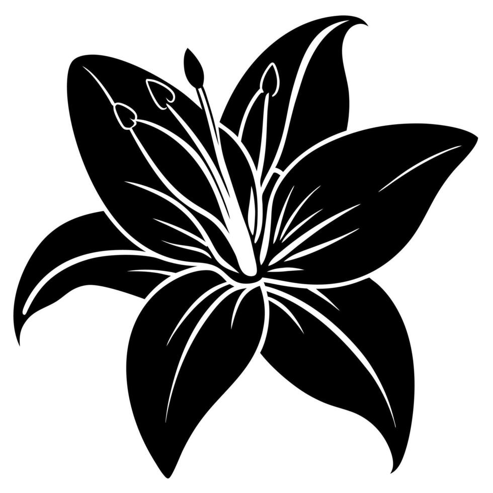 lily flower black silhouette illustration vector