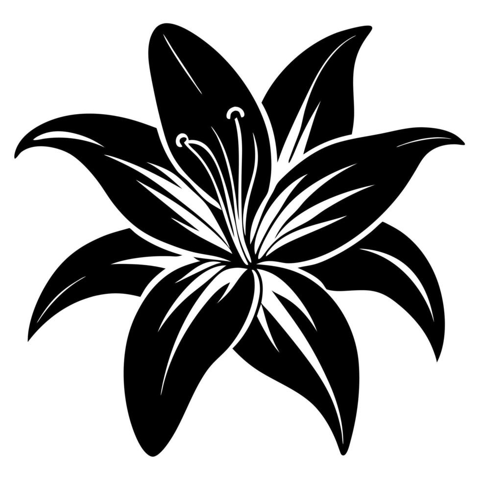 lily flower black silhouette illustration vector