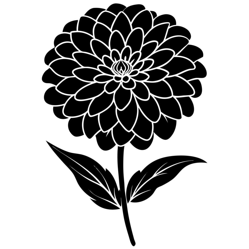 zinnia flower black silhouette vector
