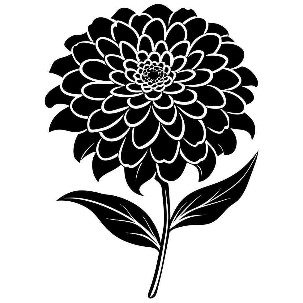 zinnia flower black silhouette vector