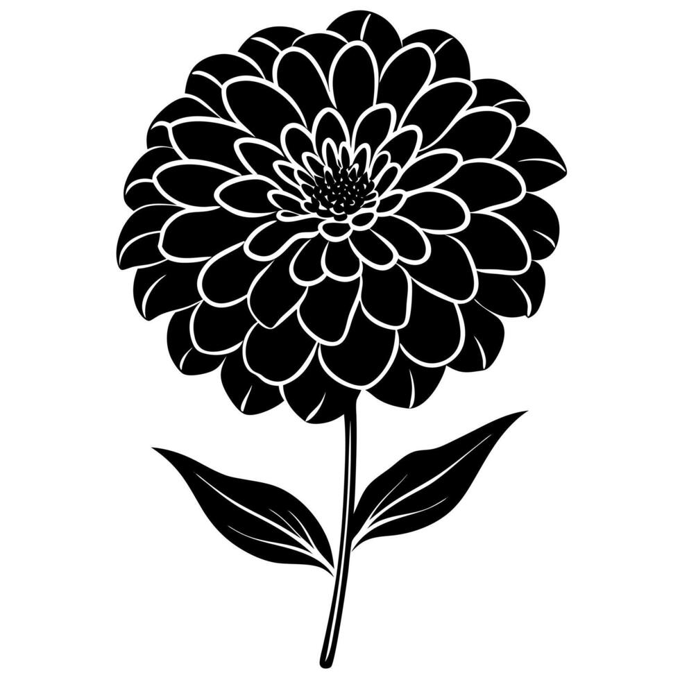 zinnia flower black silhouette vector